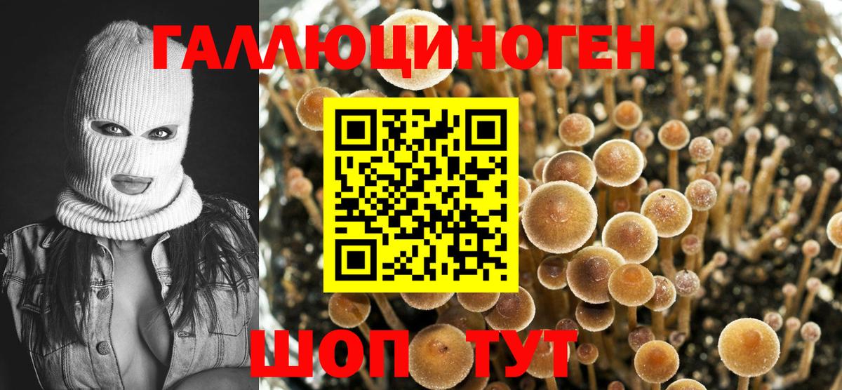 Биробиджан  Галлюциногенные грибы мухоморы  Вход с VPN  Псилоцибиновые грибы Magic Shrooms 