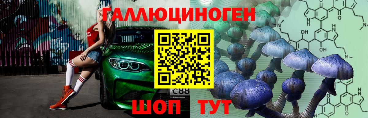 Псилоцибиновые грибы GOLDEN TEACHER Биробиджан
